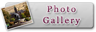 Postcard Gallery