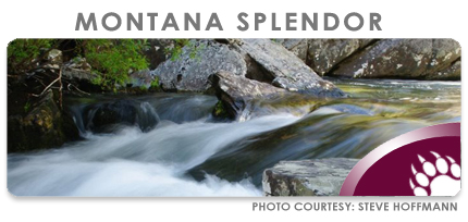 MONTANA: THE BEAUTIFUL