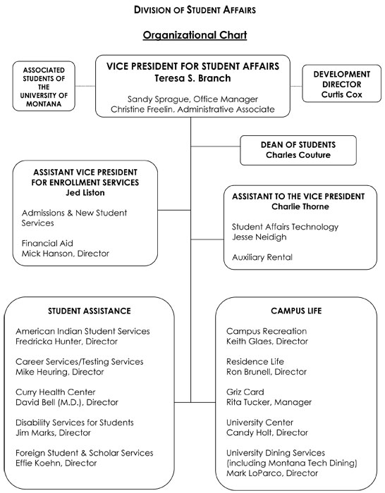image of Student Affairs org chart