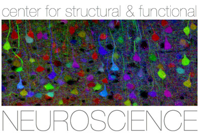 Center for Structural and Functional Neuroscience logo