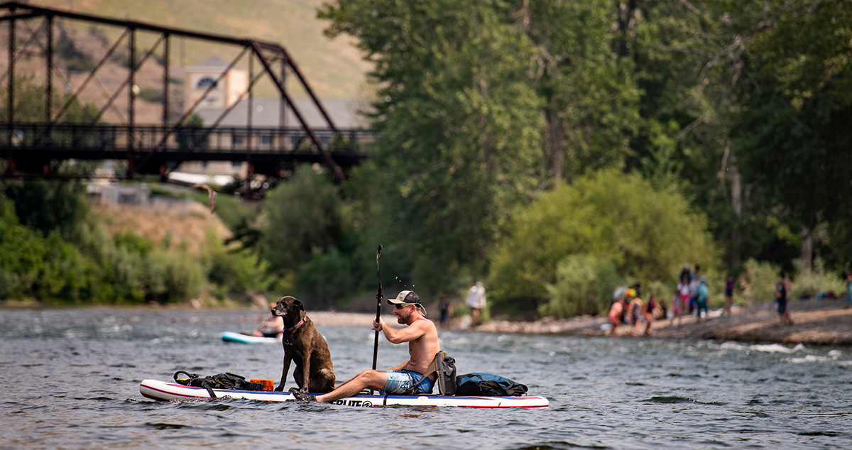 A man floats down the river on paddleboard with his dog on board