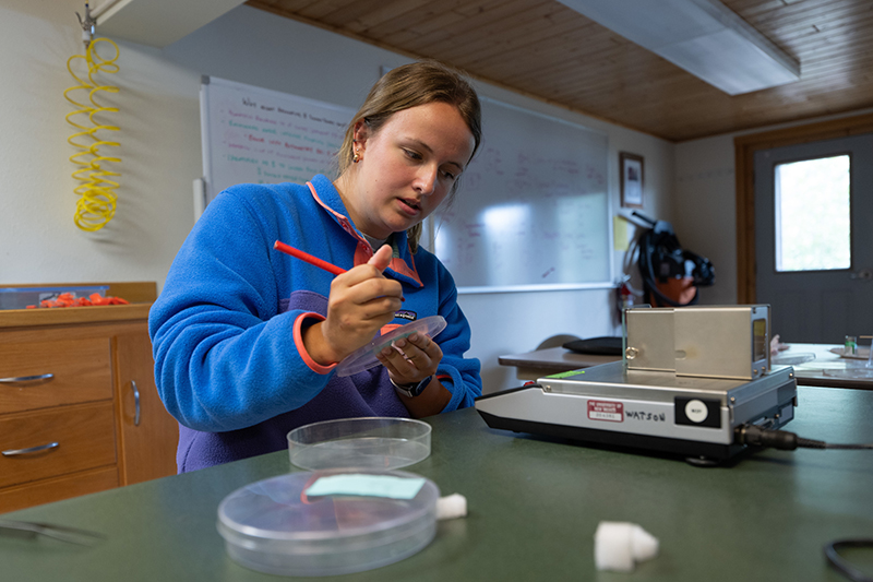 A student works in a lab at UM's Flathead Lake Biological Station