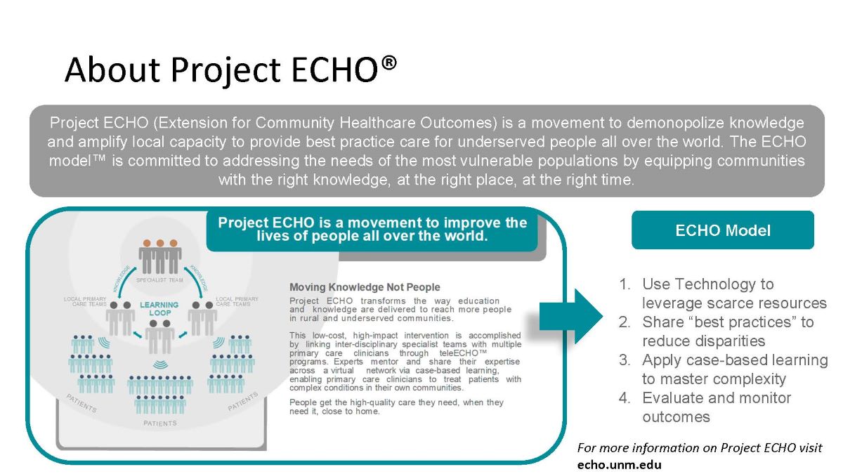 What Is the  Echo?