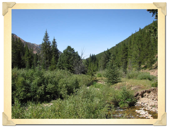 Landscape of the Chinese mining claim on Emigrant Creek. 