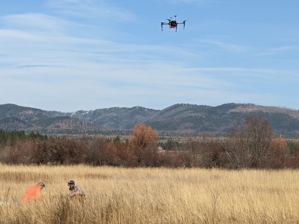 drone hovering over people in a field