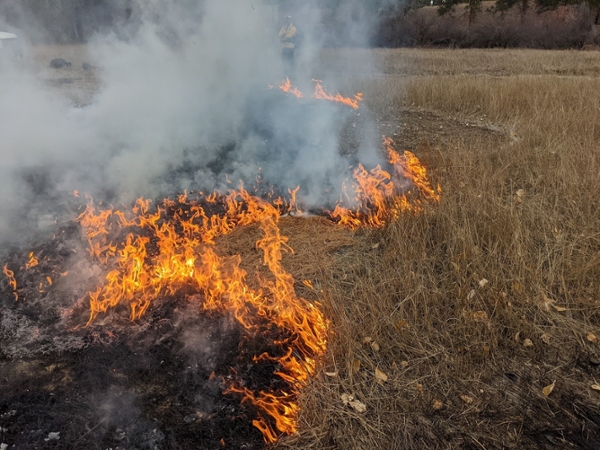 Picture of grass on fire