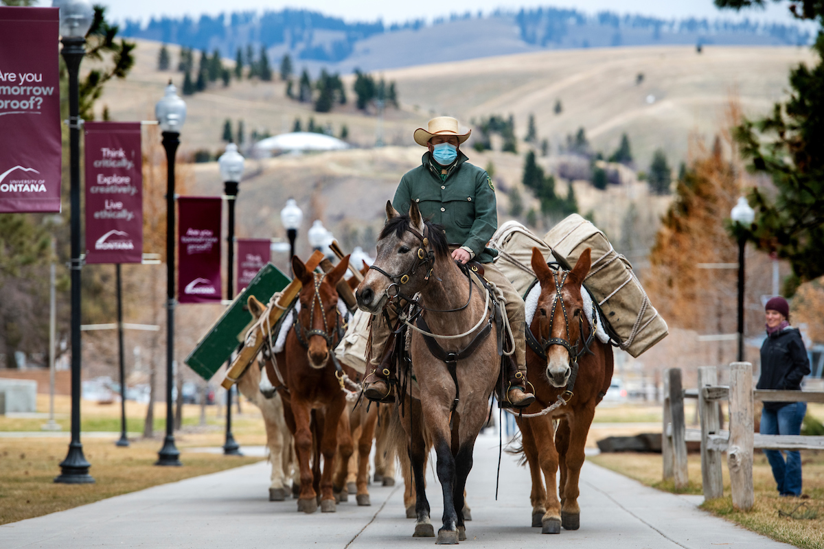 Mule Packing Course One of Many Summer Opportunities at UM