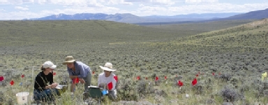 three field researchers on a sage brush covered plain
