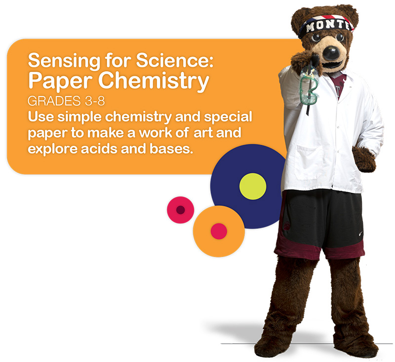 Paper Chemistry (grades 3-8): Use simple chemistry and special paper to make a work of art and explore acids and bases.