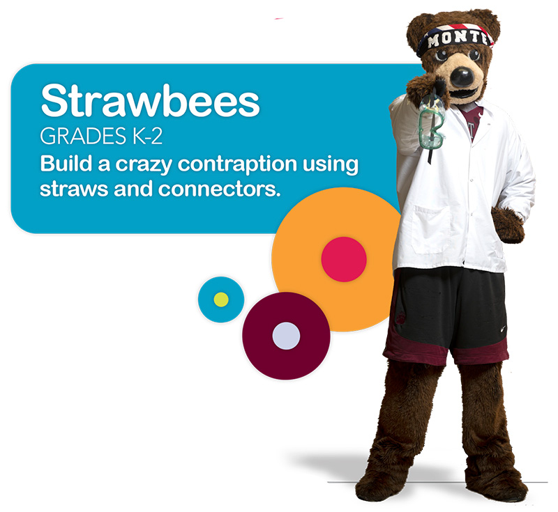 Strawbees (grades K-12): Build a crazy contraption using straws and connectors.