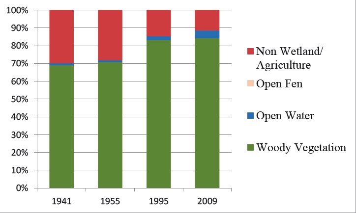 Change in the extent and land-cover types within the Blackleaf Creek wetland complex 