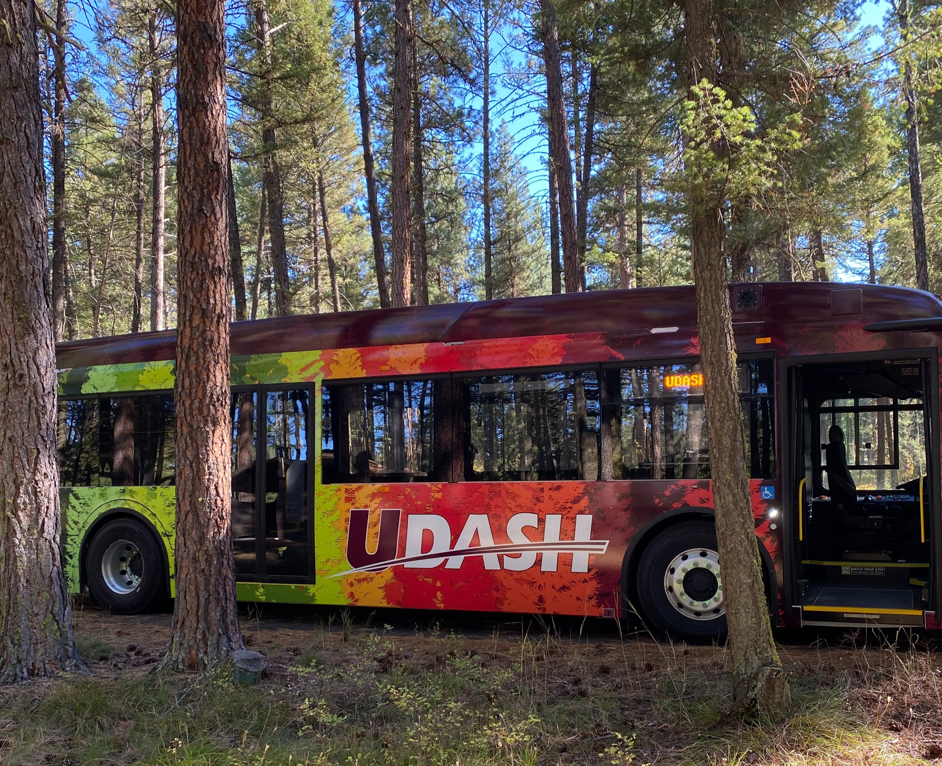 bus parked between trees in forest