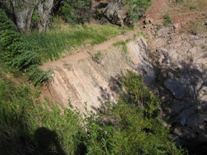 Fossil Creek